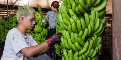 Vietnam joins the Australian Agriculture Visa Program